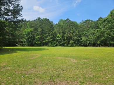 Lake Lot For Sale in Manning, South Carolina