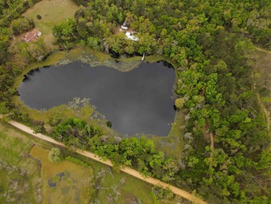Lake Home For Sale in Madison County, Florida