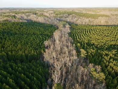 (private lake, pond, coastal) Acreage For Sale in Minter Alabama