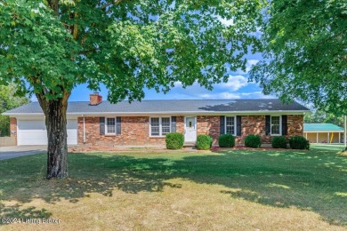 Lake Home For Sale in Boston, Kentucky