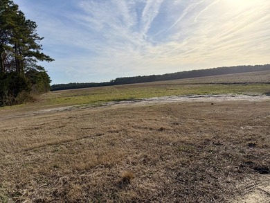 National Land is proud to present a truly rare opportunity to - photo 5