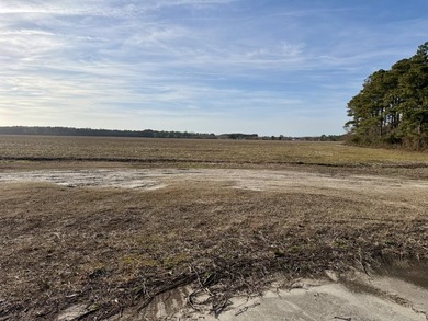 National Land is proud to present a truly rare opportunity to - photo 6