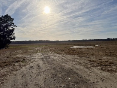 National Land is proud to present a truly rare opportunity to - photo 7