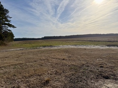National Land is proud to present a truly rare opportunity to - photo 8