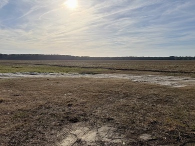 National Land is proud to present a truly rare opportunity to - photo 9