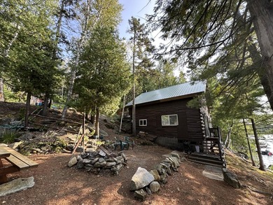 100' frontage on 1,057 acre Meduxnekeag (Drews) Lake. Four - photo 23