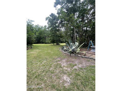 This is a Rare Opportunity ! No HOA, 3 acres, 4 Bedrooms 3 Bath - photo 31