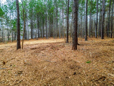Rare opportunity to own a private, Lakefront, estate lot in - photo 6
