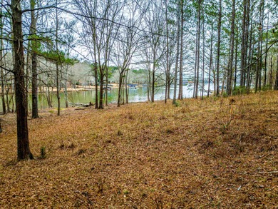 Rare opportunity to own a private, Lakefront, estate lot in - photo 9