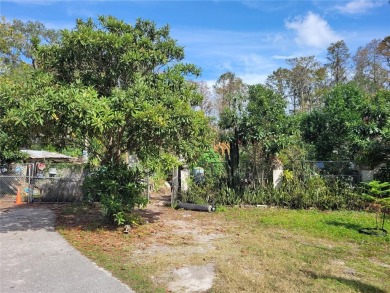 (private lake, pond, creek) Home For Sale in New Port Richey Florida