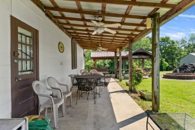 Lake Home In Dog Creek With Dock - photo 7