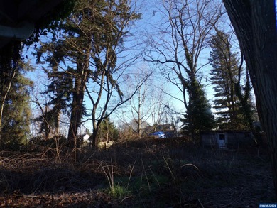 Accepted Offer with Contingencies. Investor opportunity, bring