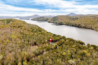 Construite en 2022, cette residence offre un acces direct au lac - photo 45