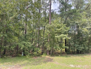 (private lake, pond, creek) Lot For Sale in Ellerbe North Carolina