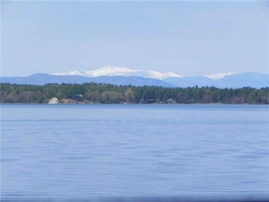 This is a rare opportunity to experience luxury lakefront living - photo 8