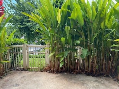 Napili Villas 32 Polohina Ln. #4 Welcome to your dream property - photo 29