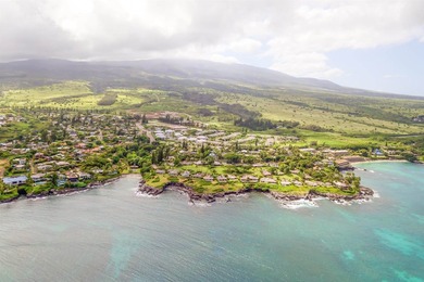 Napili Villas 32 Polohina Ln. #4 Welcome to your dream property - photo 34