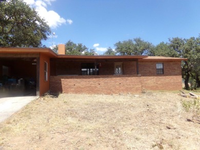 Lake Home For Sale in Buchanan Dam, Texas