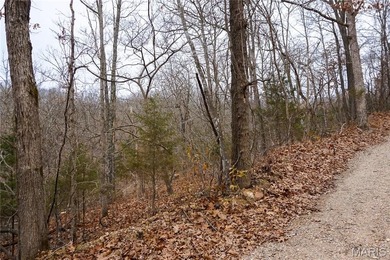 Gasconade River Acreage For Sale in Dixon Missouri