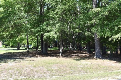 Lake Lot For Sale in Manning, South Carolina