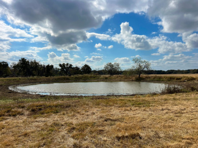 Location Location Location - Lake Acreage For Sale in Groesbeck, Texas