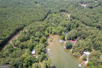 Lake Acreage For Sale in Covington, Georgia
