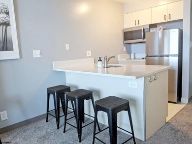 Beautifully updated studio condo has unobstructed views of the - photo 14