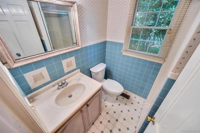 Welcome to 34 Daly Court in Riverhead, a beautiful Ranch-Style - photo 32