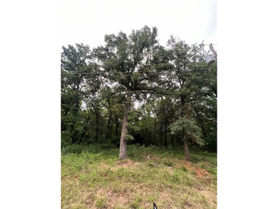 Cedar Creek Lake Lot For Sale in Mabank Texas