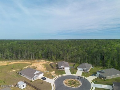 Built in 2024 this house is like New great floor plan large - photo 21