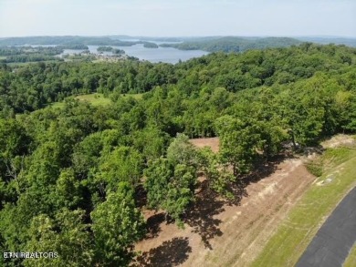 Lake Acreage For Sale in Rockwood, Tennessee