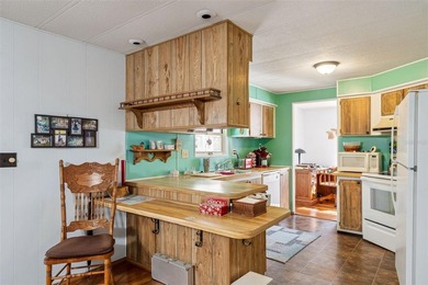 Enjoy relaxed Florida living in the 55+ community of Eustis - photo 9