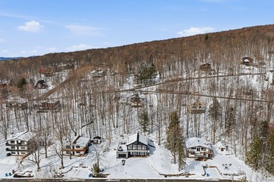 Sutton, vue sur les pistes. Elegant chalet construit en 2022 - photo 43