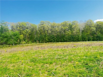 Lake Chetek Lot For Sale in Chetek Wisconsin