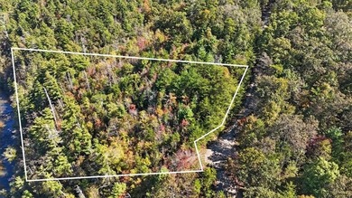 Lake Lot For Sale in Ranger, Georgia