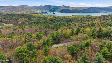 Set on 10+ acres with a beautiful view of Lake George, this - photo 34