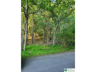 Stillwater Lake Lot For Sale in Tobyhanna Twp Pennsylvania