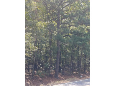 Lake Acreage For Sale in Oil City, Louisiana