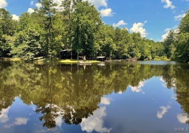 Lake Acreage For Sale in Northport, Alabama
