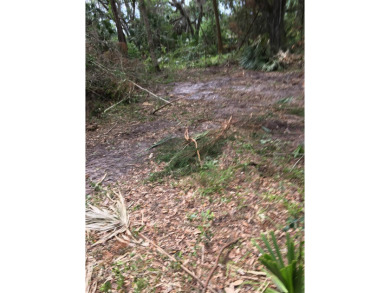 (private lake, pond, creek) Lot For Sale in Panacea Florida