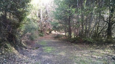 Klamath River - Siskiyou County Acreage For Sale in Weitchpec California