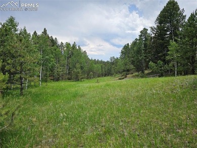 (private lake, pond, creek) Acreage For Sale in Divide Colorado
