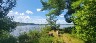 Lake Acreage For Sale in Dover-Foxcroft, Maine