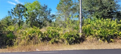 Lehigh Acres Area Lot For Sale in Alva Florida