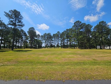 Lake Lot For Sale in Manning, South Carolina