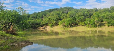 INCREDIBLE land! Keep all 73 acres where you can't see another - photo 1