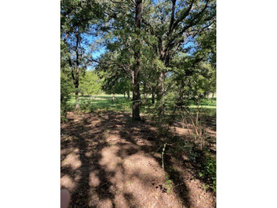 INCREDIBLE land! Keep all 73 acres where you can't see another - photo 2
