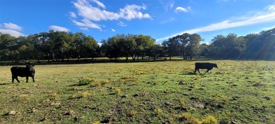 INCREDIBLE land! Keep all 73 acres where you can't see another - photo 5