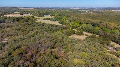 INCREDIBLE land! Keep all 73 acres where you can't see another - photo 7