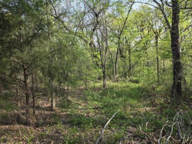 Beautiful treed 1.57 Ac  Corner Oasis - photo 4